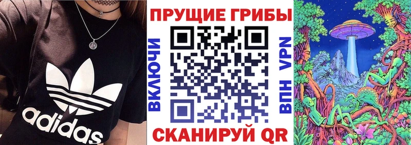 Псилоцибиновые грибы мицелий Белоусово